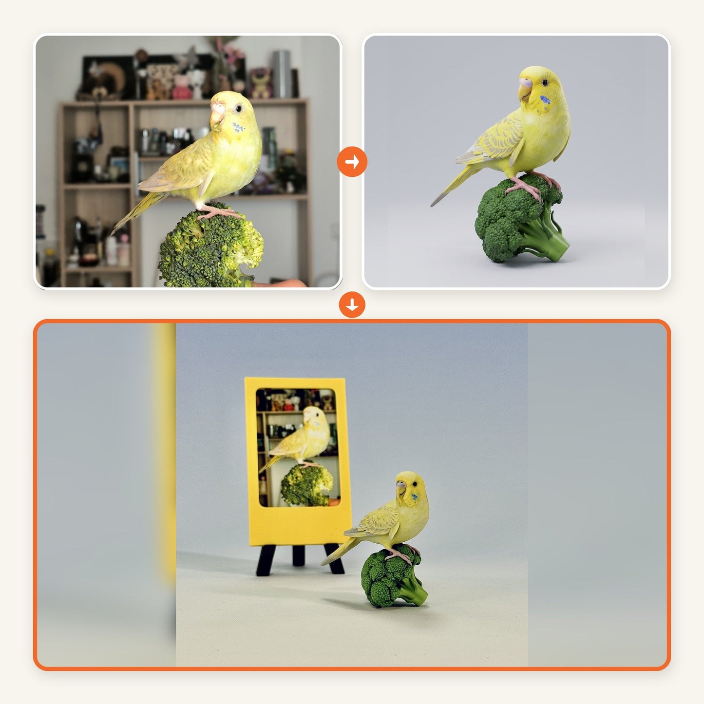 Parakeet case showing the customer photo, design preview, and finished custom pet figurine