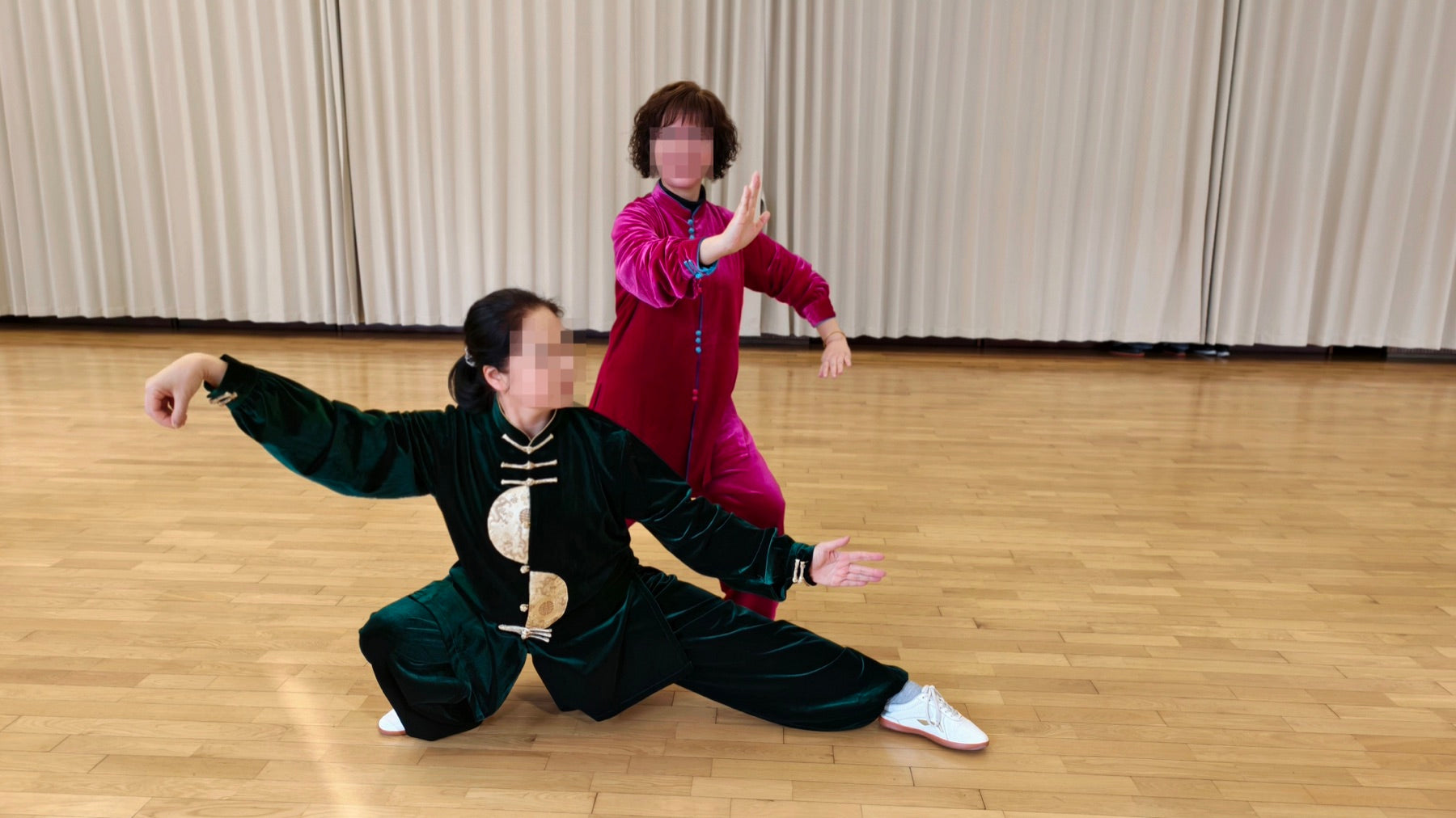 Privacy-protected reference photo of a low tai chi stance in a green uniform