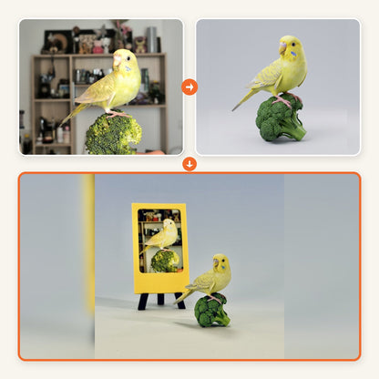 Parakeet case showing the customer photo, design preview, and finished custom pet figurine